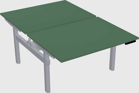Shared electric desk