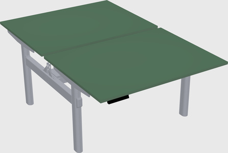 Shared electric desk