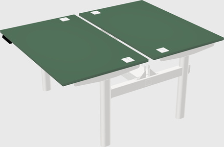 Shared electric desk