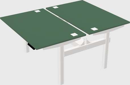 Shared electric desk