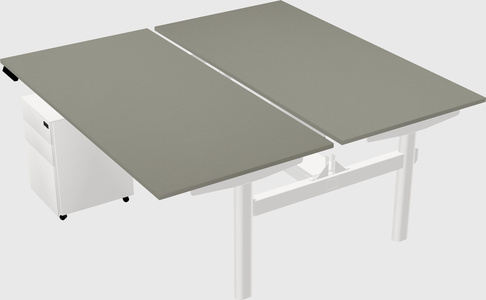 Shared electric desk