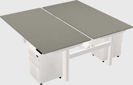Shared electric desk