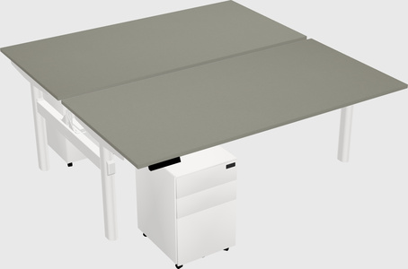 Shared electric desk