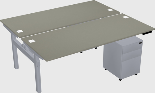 Shared electric desk