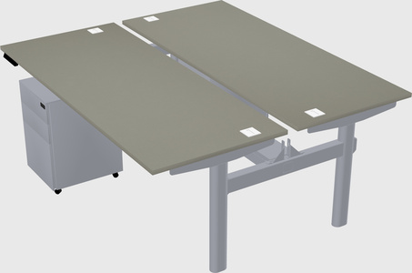 Shared electric desk