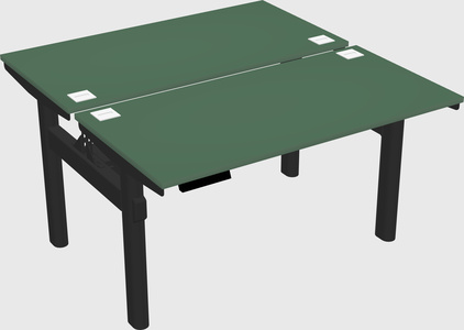 Shared electric desk