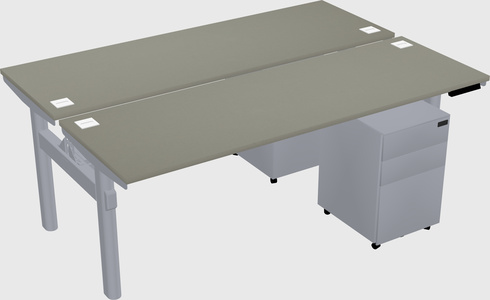 Shared electric desk