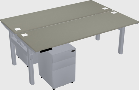 Shared electric desk