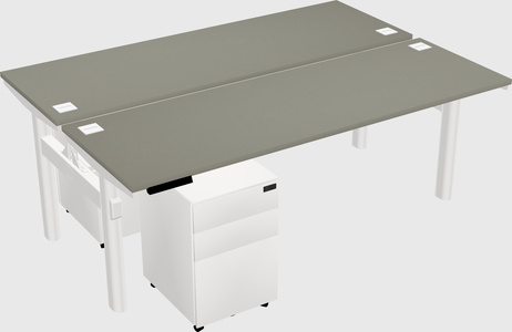Shared electric desk