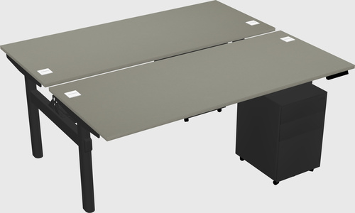 Shared electric desk