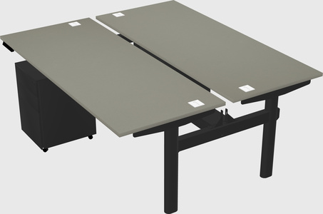 Shared electric desk