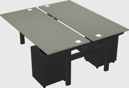 Shared electric desk