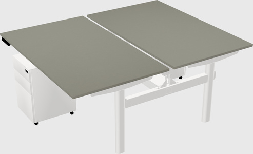 Shared electric desk