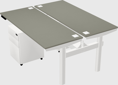 Shared electric desk