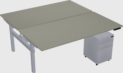 Shared electric desk