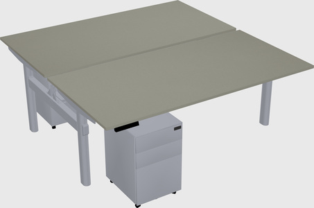 Shared electric desk