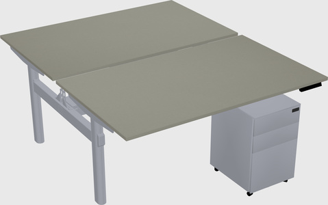 Shared electric desk
