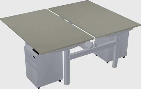 Shared electric desk