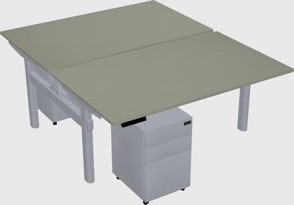 Shared electric desk