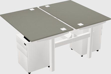 Shared electric desk