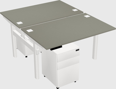 Shared electric desk