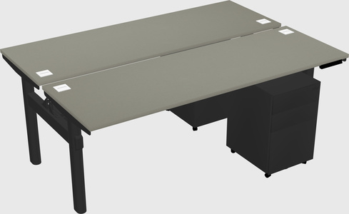 Shared electric desk