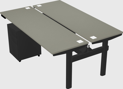 Shared electric desk