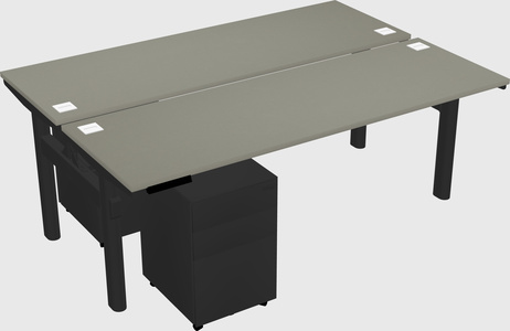 Shared electric desk