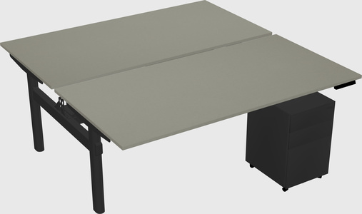 Shared electric desk
