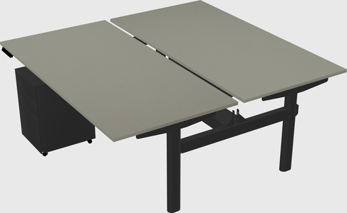 Shared electric desk