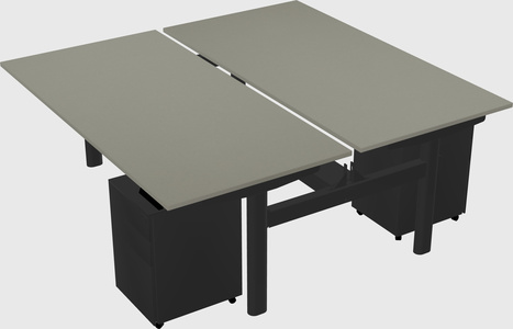 Shared electric desk
