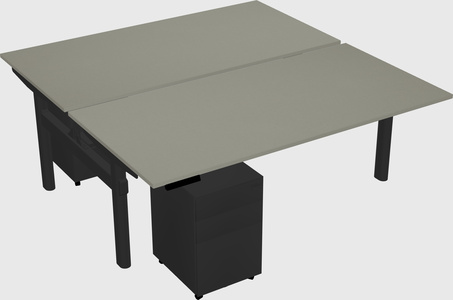 Shared electric desk