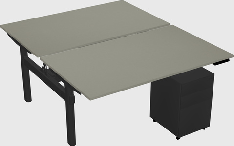 Shared electric desk