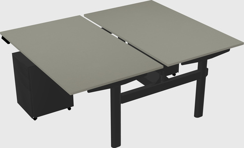 Shared electric desk