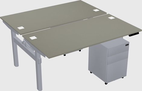 Shared electric desk