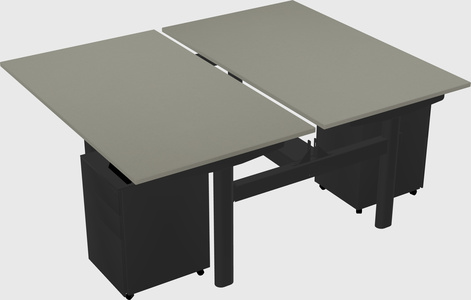 Shared electric desk