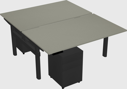 Shared electric desk