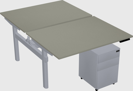 Shared electric desk