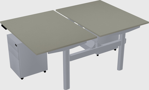 Shared electric desk