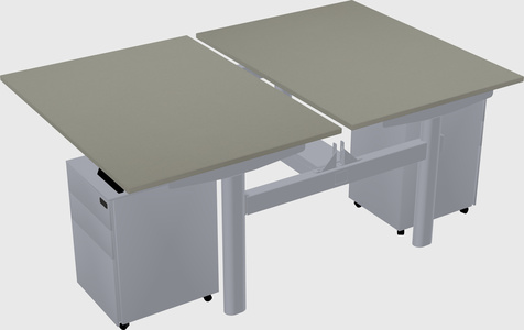 Shared electric desk