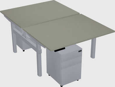 Shared electric desk