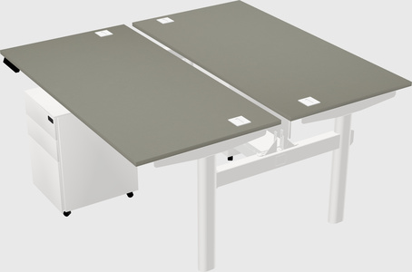Shared electric desk