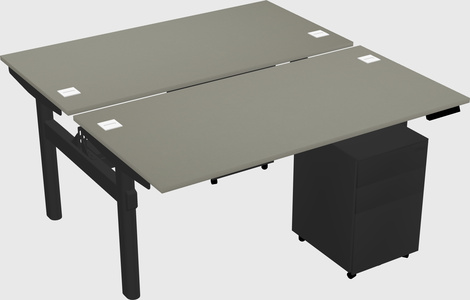 Shared electric desk