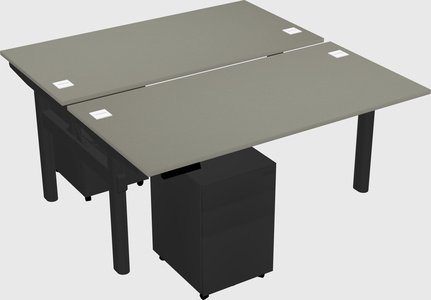 Shared electric desk