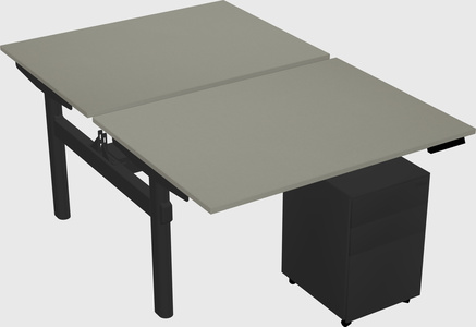 Shared electric desk