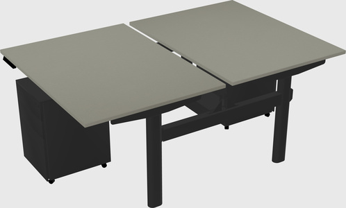 Shared electric desk