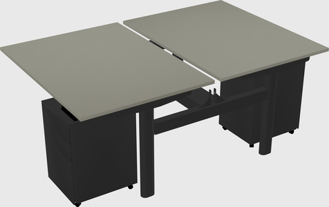 Shared electric desk