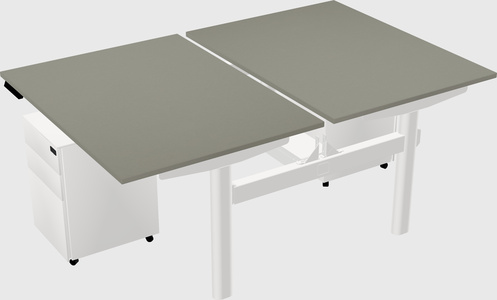 Shared electric desk