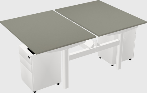 Shared electric desk