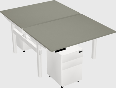 Shared electric desk
